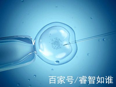 正规同性代孕咨询包生儿子生殖医学中心